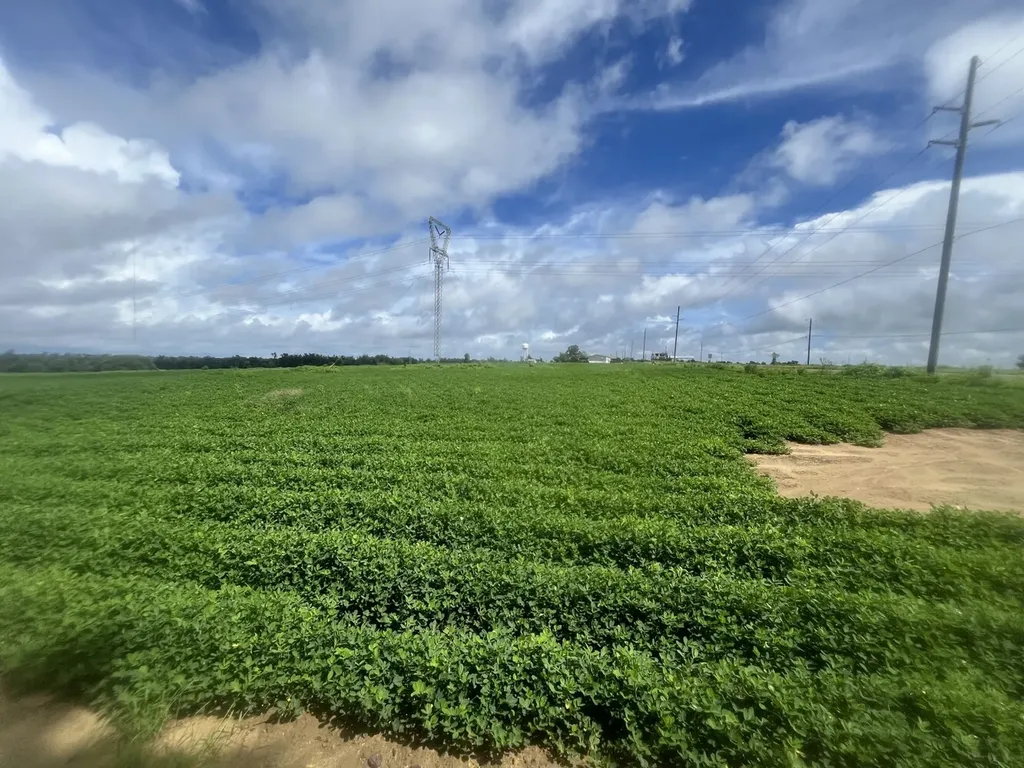 O Enon Road Webb AL 36376