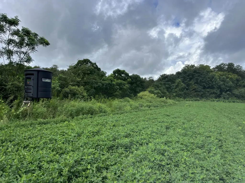 O Enon Road Webb AL 36376