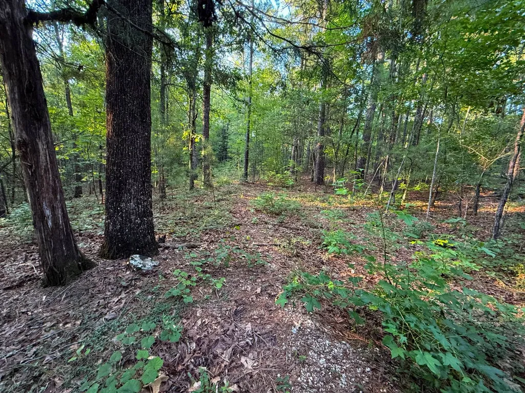 0 Howells Cove Road Talladega AL 35160