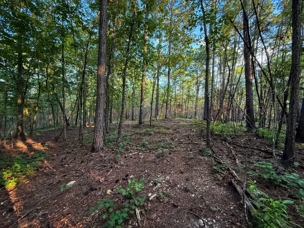 0 Howells Cove Road Talladega AL 35160