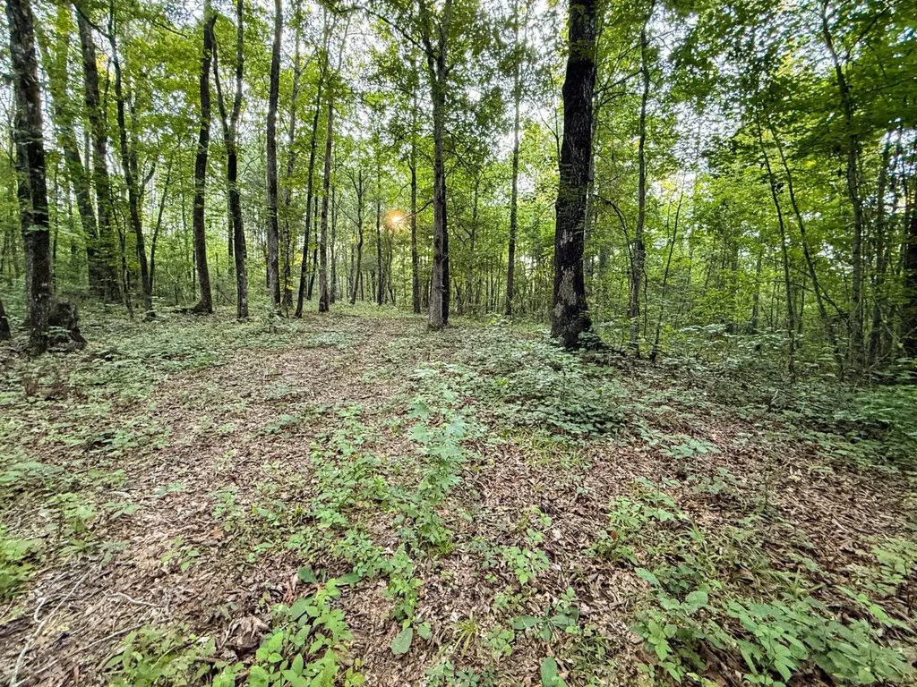 0 Howells Cove Road Talladega AL 35160
