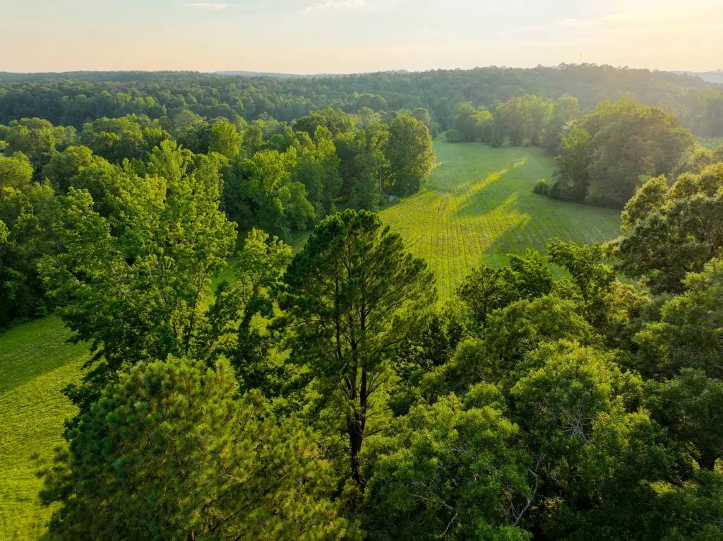 0 Howells Cove Road Talladega AL 35160