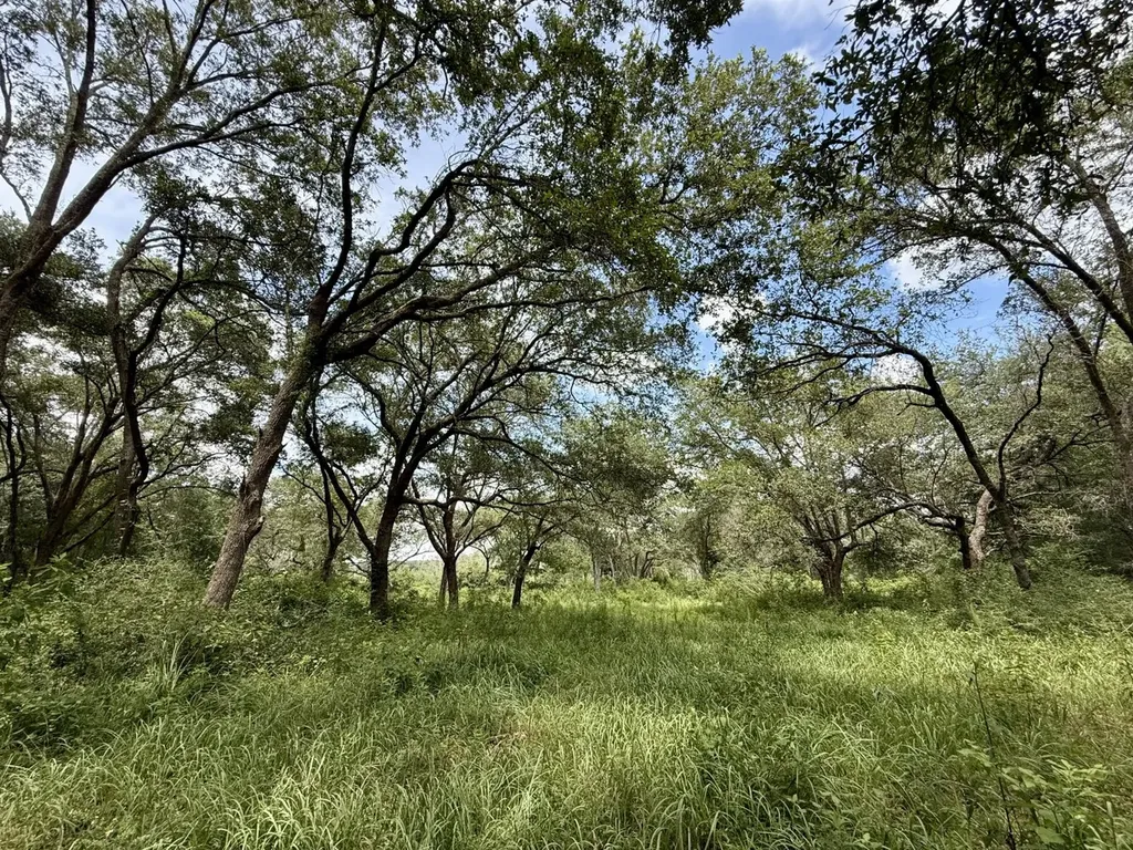 0 Christian Acres Road Grand Bay AL 36541