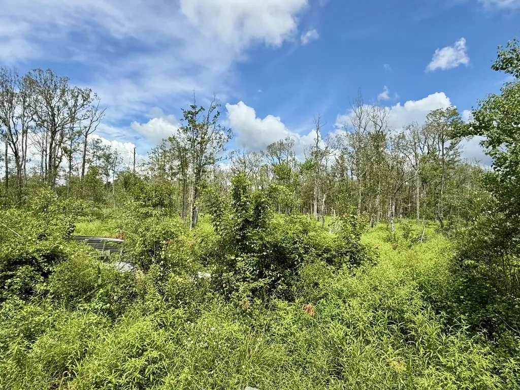 0 Christian Acres Road Grand Bay AL 36541