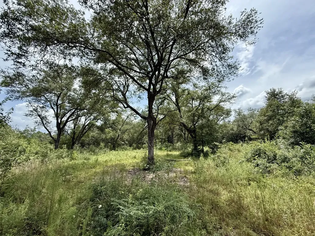 0 Christian Acres Road Grand Bay AL 36541