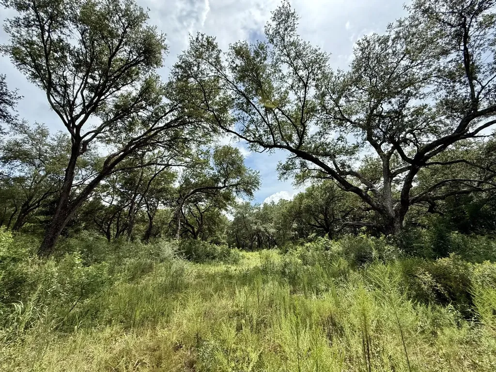 0 Christian Acres Road Grand Bay AL 36541