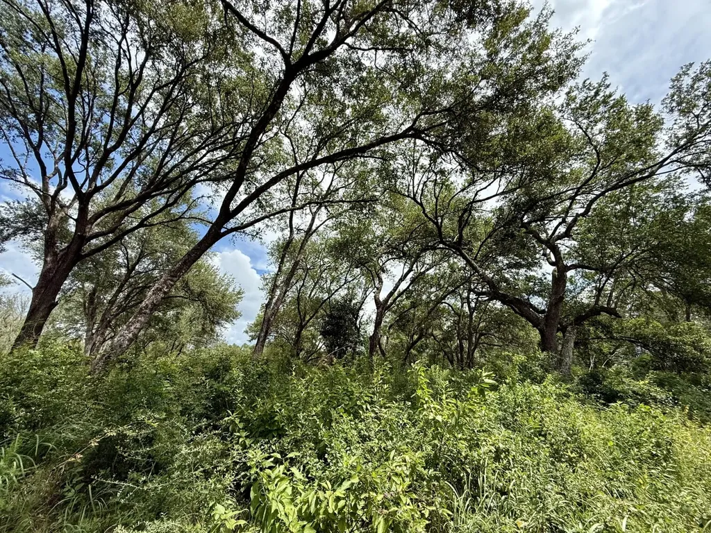 0 Christian Acres Road Grand Bay AL 36541