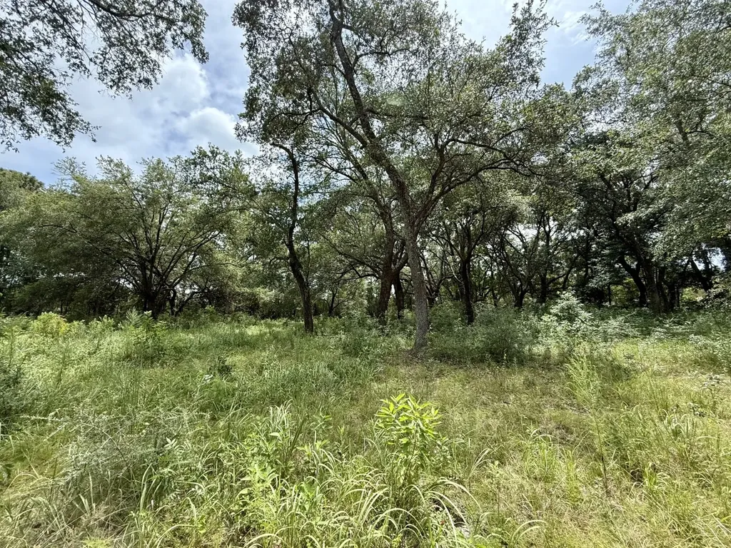 0 Christian Acres Road Grand Bay AL 36541