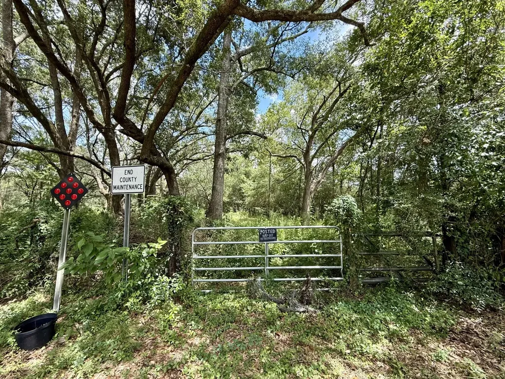 0 Christian Acres Road Grand Bay AL 36541