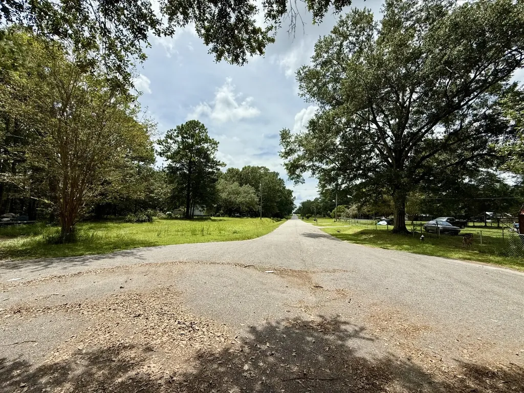 0 Christian Acres Road Grand Bay AL 36541
