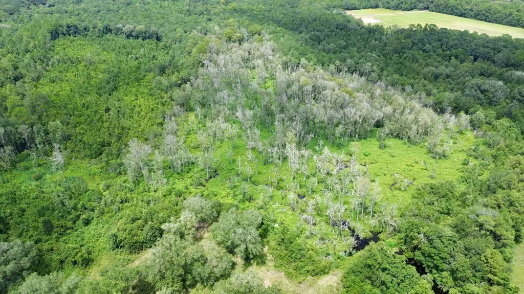 0 Christian Acres Road Grand Bay AL 36541