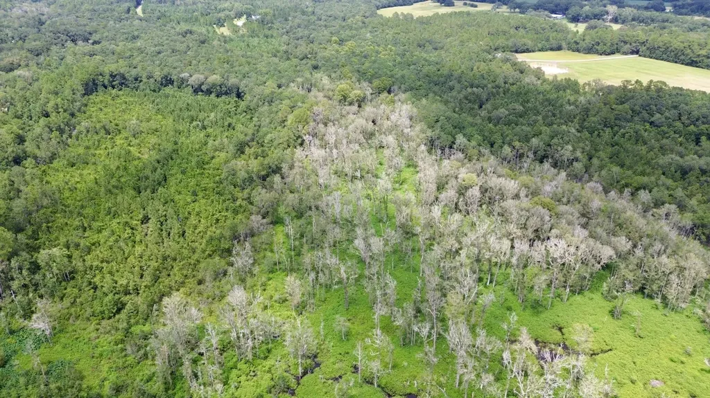 0 Christian Acres Road Grand Bay AL 36541