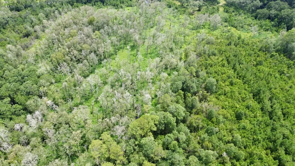 0 Christian Acres Road Grand Bay AL 36541