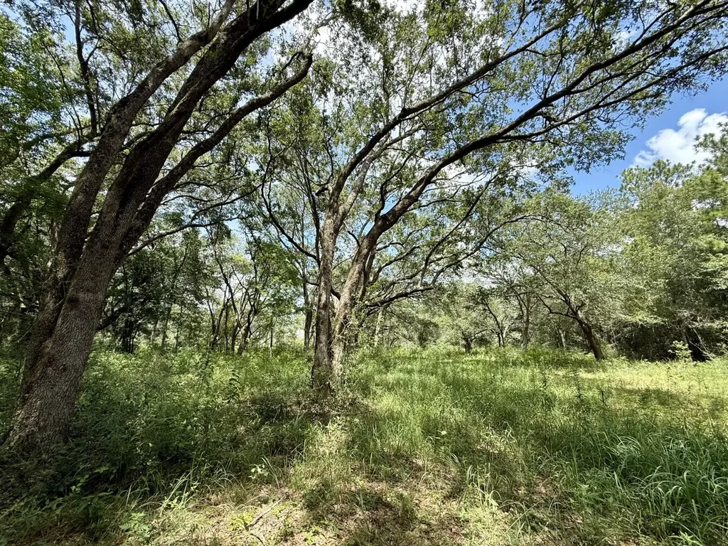 0 Christian Acres Road Grand Bay AL 36541
