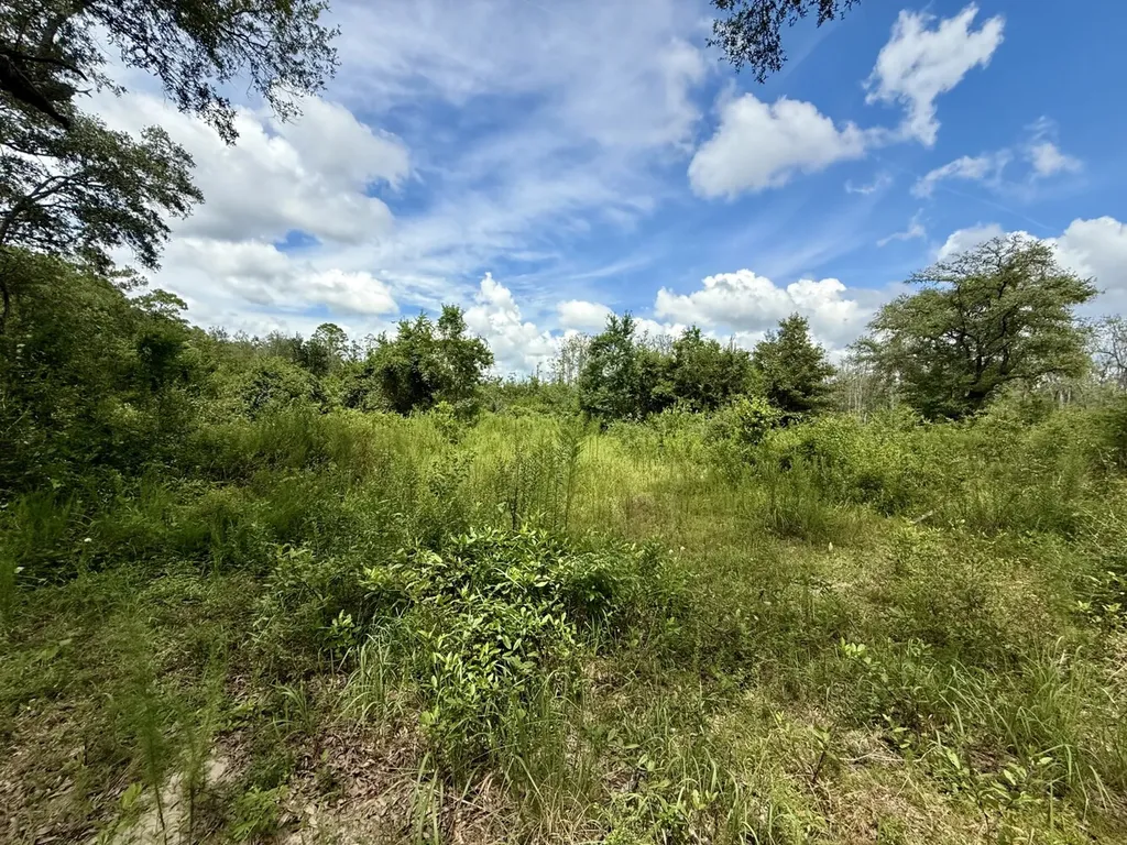 0 Christian Acres Road Grand Bay AL 36541