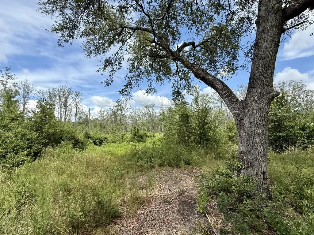 0 Christian Acres Road Grand Bay AL 36541
