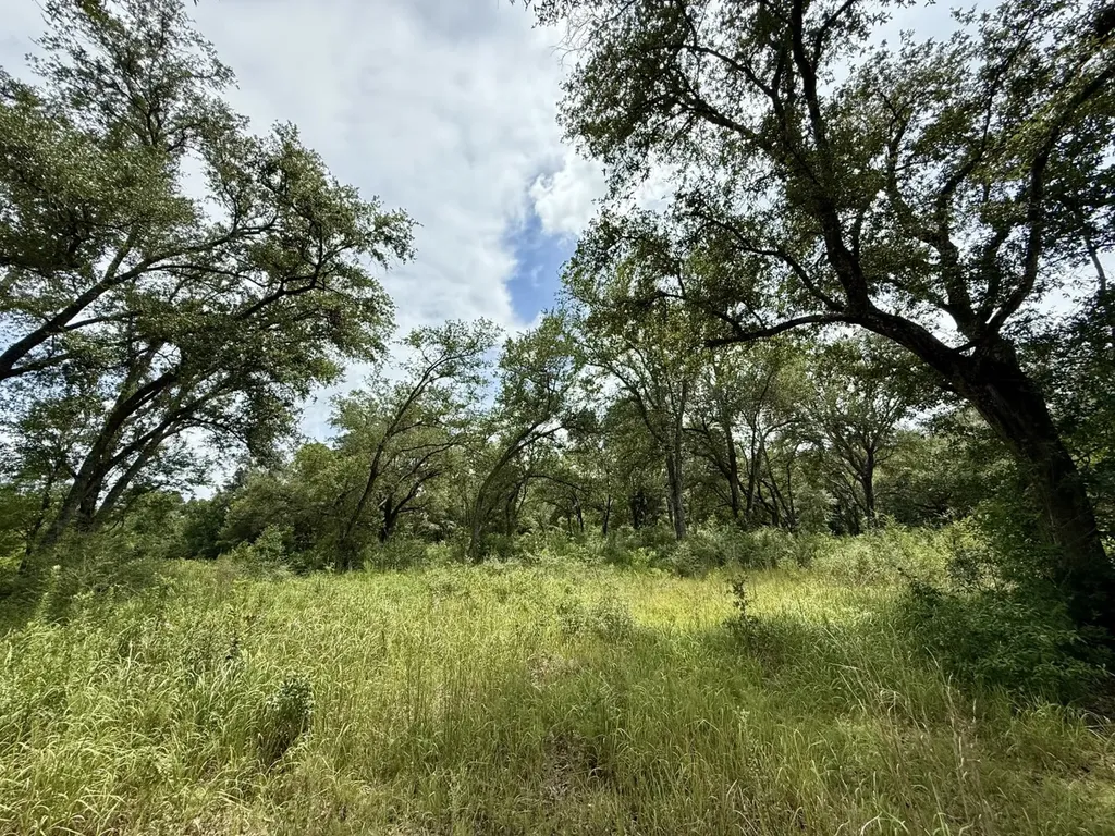 0 Christian Acres Road Grand Bay AL 36541