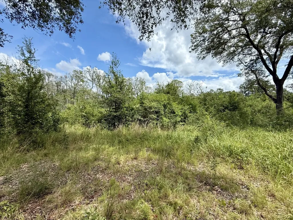 0 Christian Acres Road Grand Bay AL 36541
