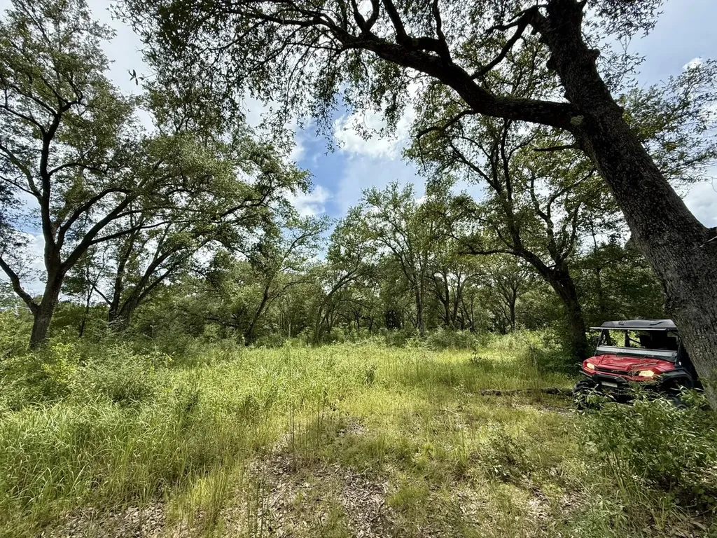 0 Christian Acres Road Grand Bay AL 36541