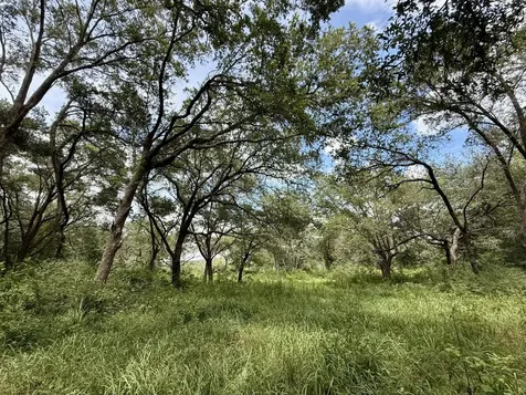 0 Christian Acres Road Grand Bay AL 36541
