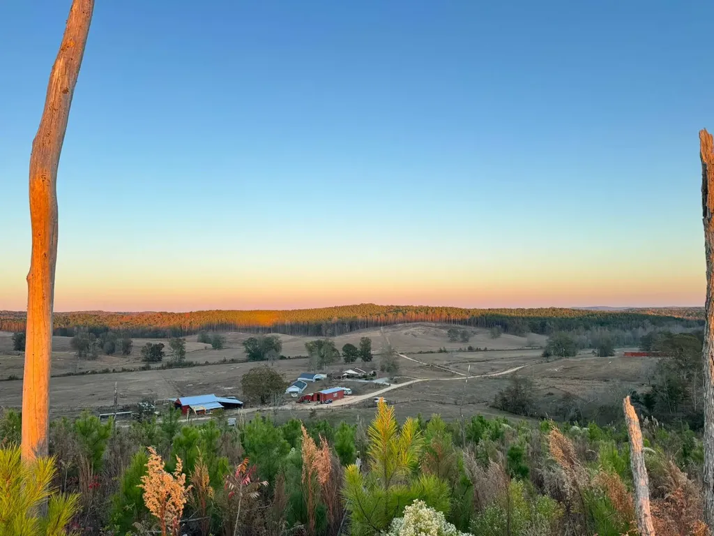 01 County Road 10 Winfield AL 35594