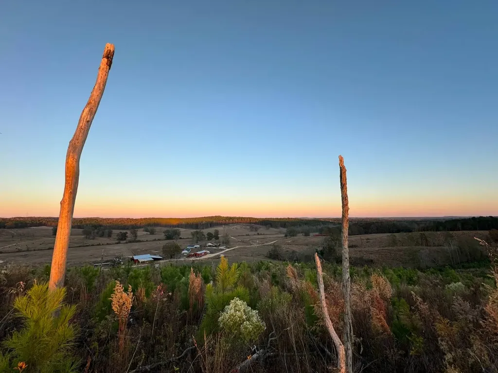 01 County Road 10 Winfield AL 35594