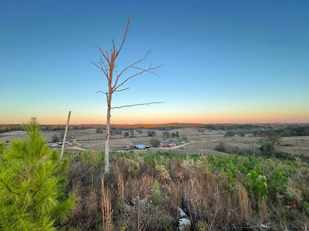 01 County Road 10 Winfield AL 35594