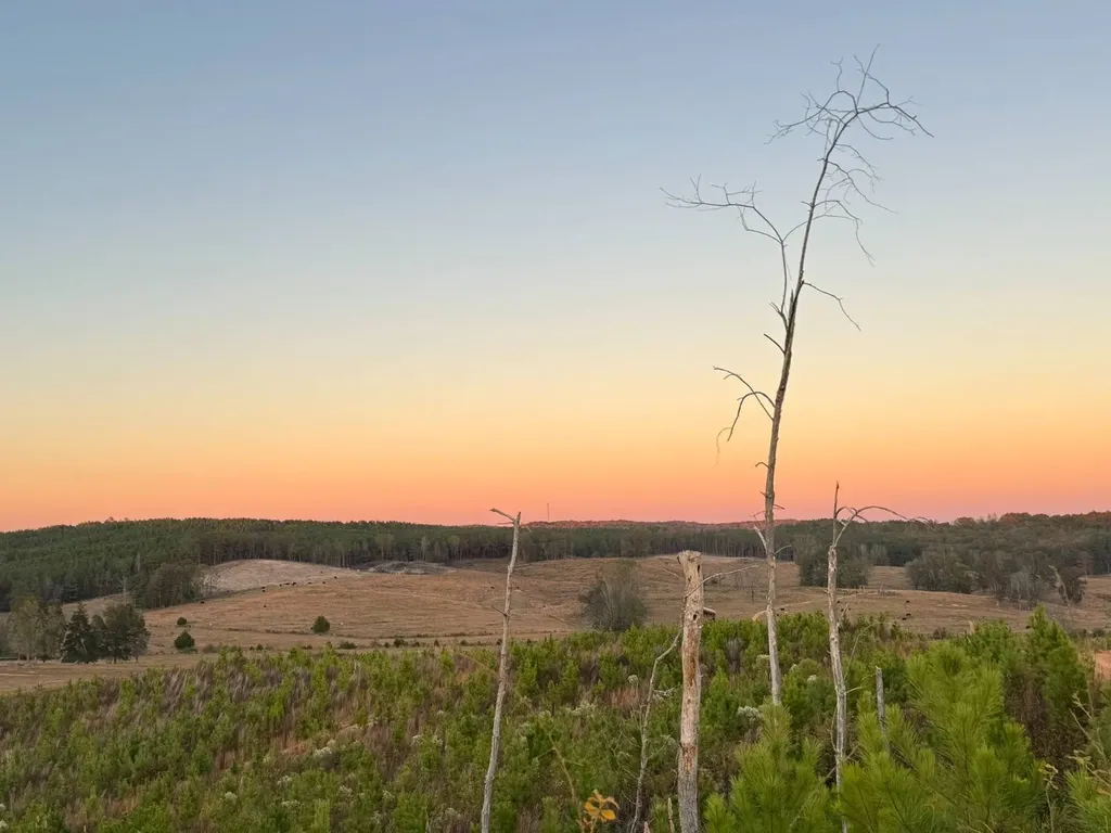 01 County Road 10 Winfield AL 35594