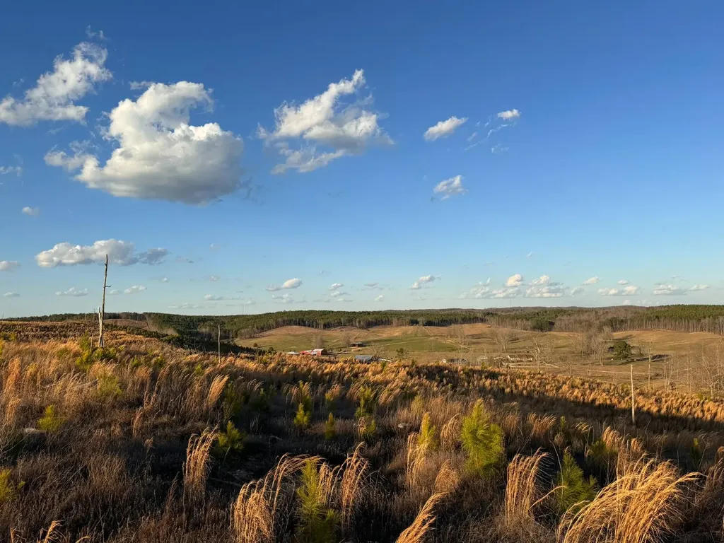 0 Cr 10 Winfield AL 35594