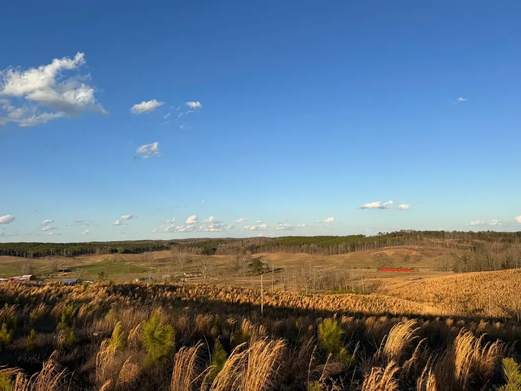 0 Cr 10 Winfield AL 35594