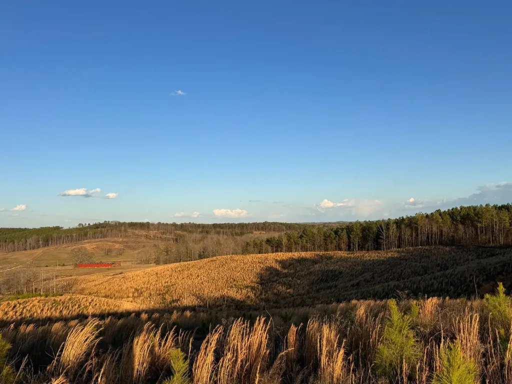 0 Cr 10 Winfield AL 35594