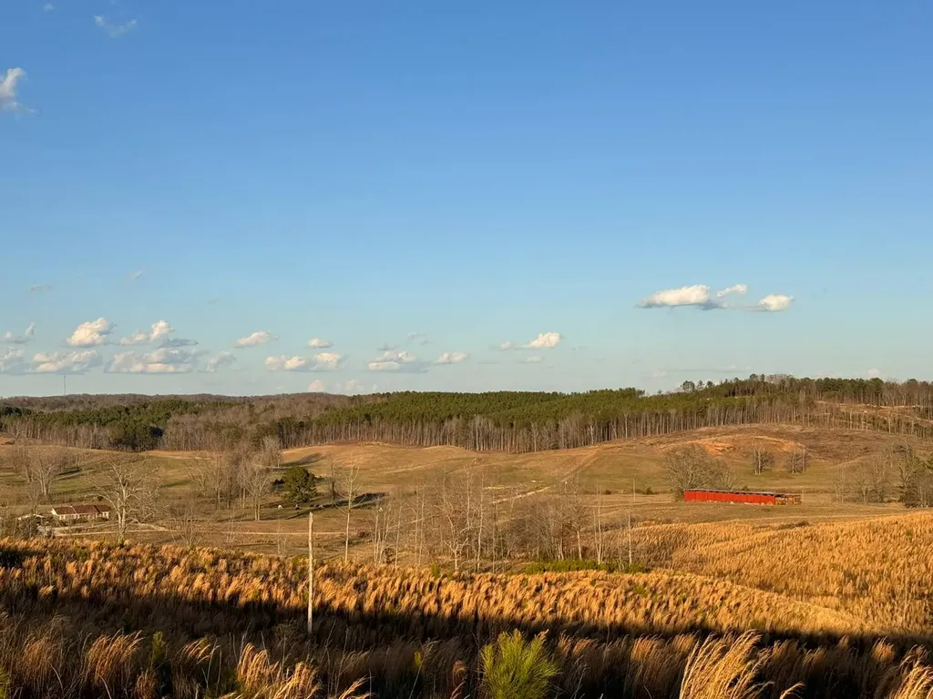 0 Cr 10 Winfield AL 35594