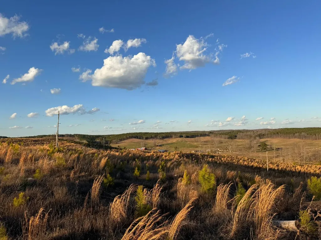 0 Cr 10 Winfield AL 35594