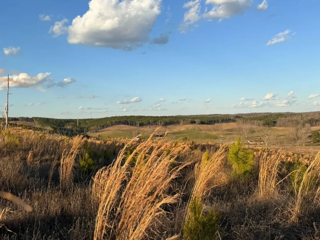 0 Cr 10 Winfield AL 35594