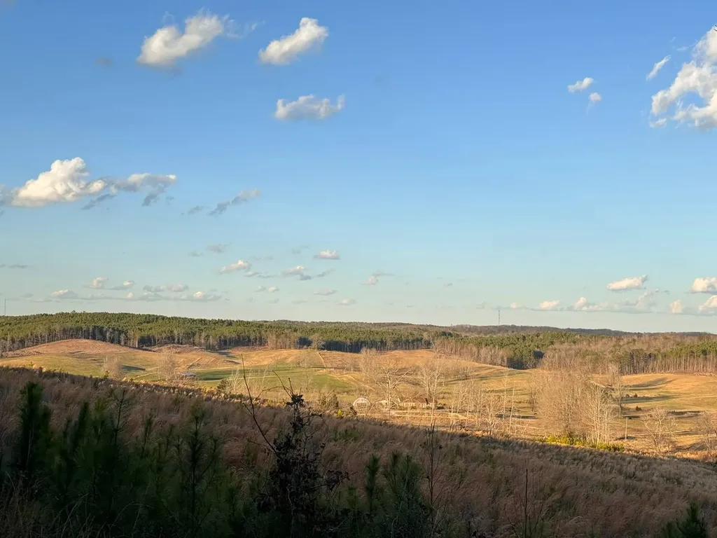 0 Cr 10 Winfield AL 35594