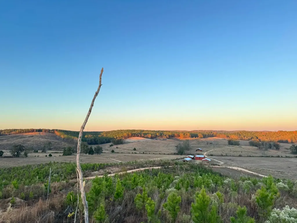 04 County Road 10 Winfield AL 35594