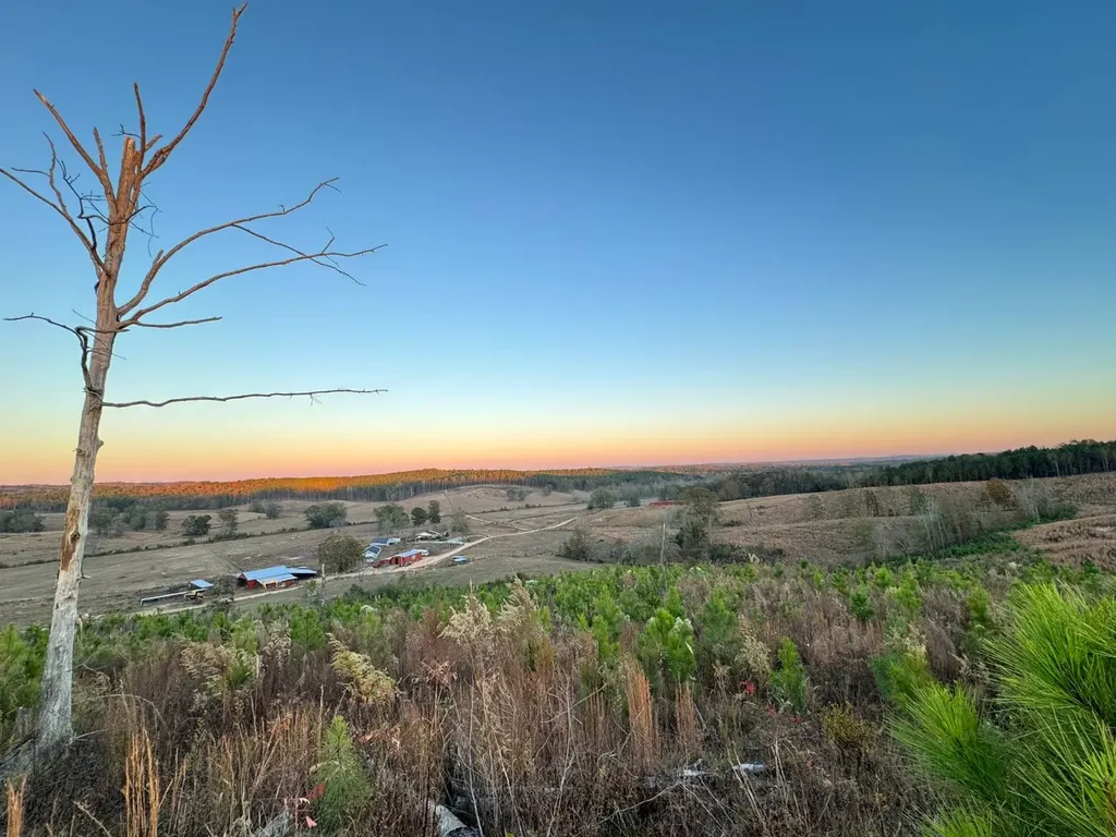 04 County Road 10 Winfield AL 35594