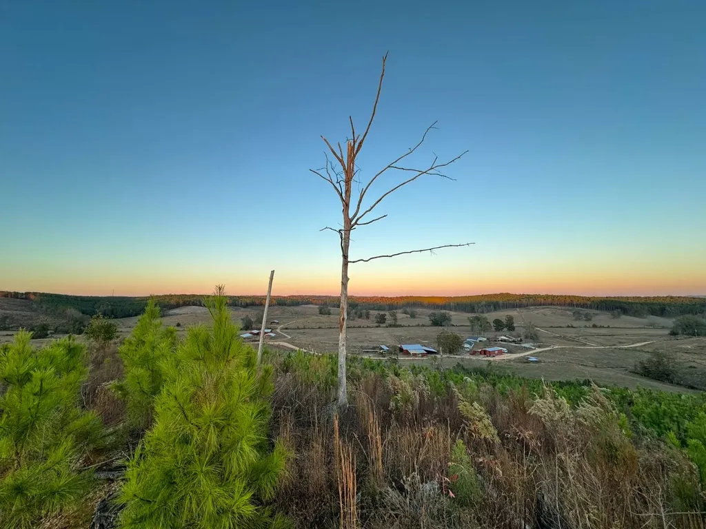 04 County Road 10 Winfield AL 35594