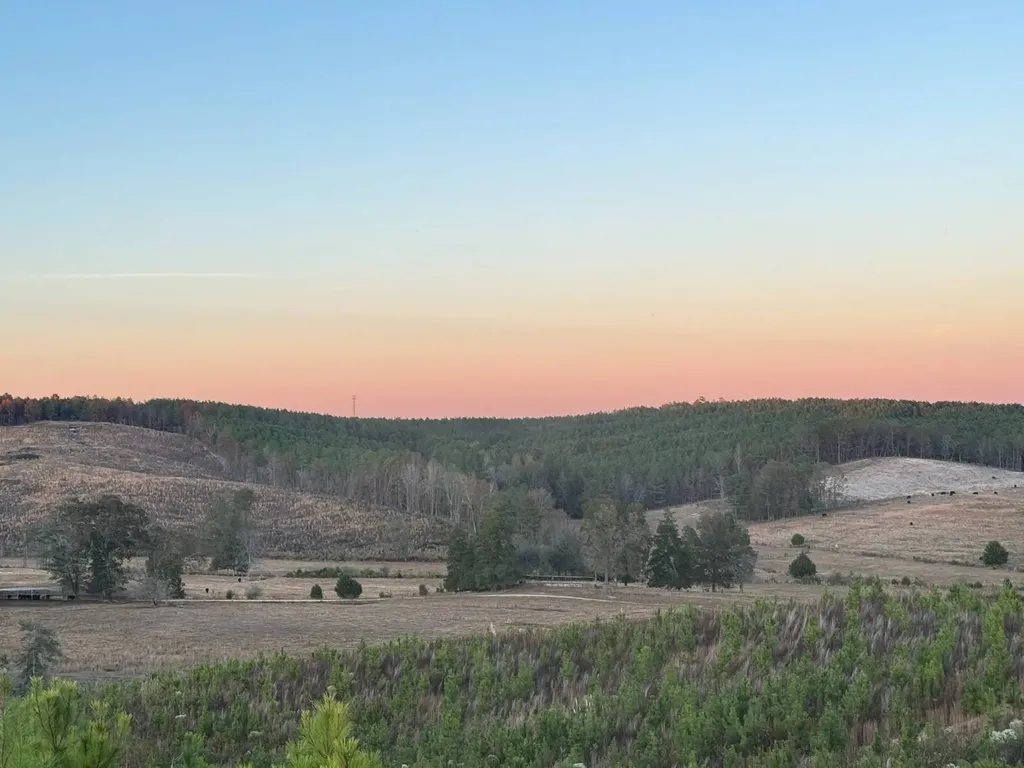 04 County Road 10 Winfield AL 35594