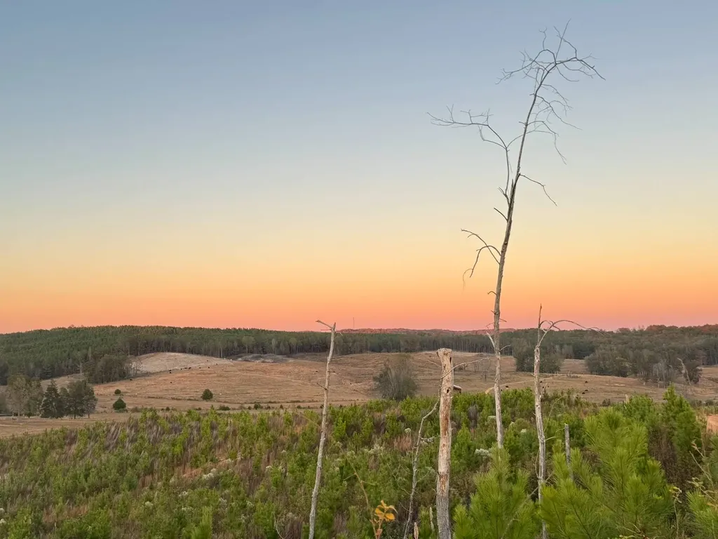 04 County Road 10 Winfield AL 35594