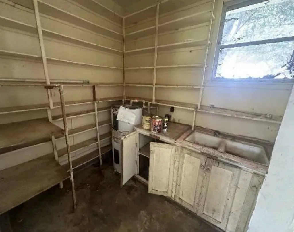 1565 County Road 43 Fyffe AL 35971
