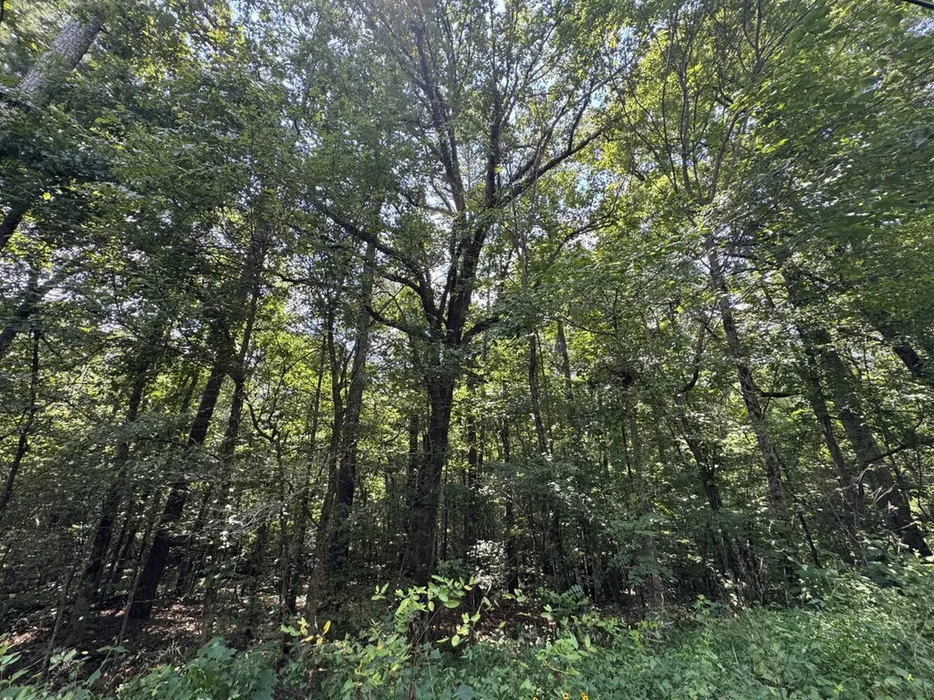 0 Mill Creek Road Warrior AL 35180
