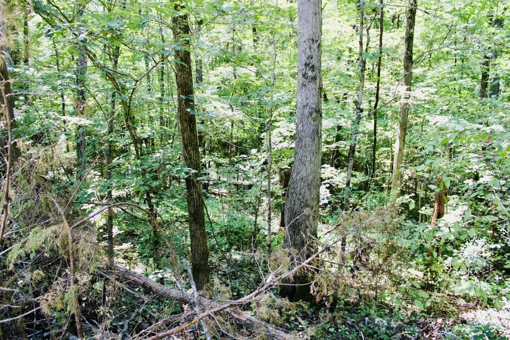 0 Mill Creek Road Warrior AL 35180