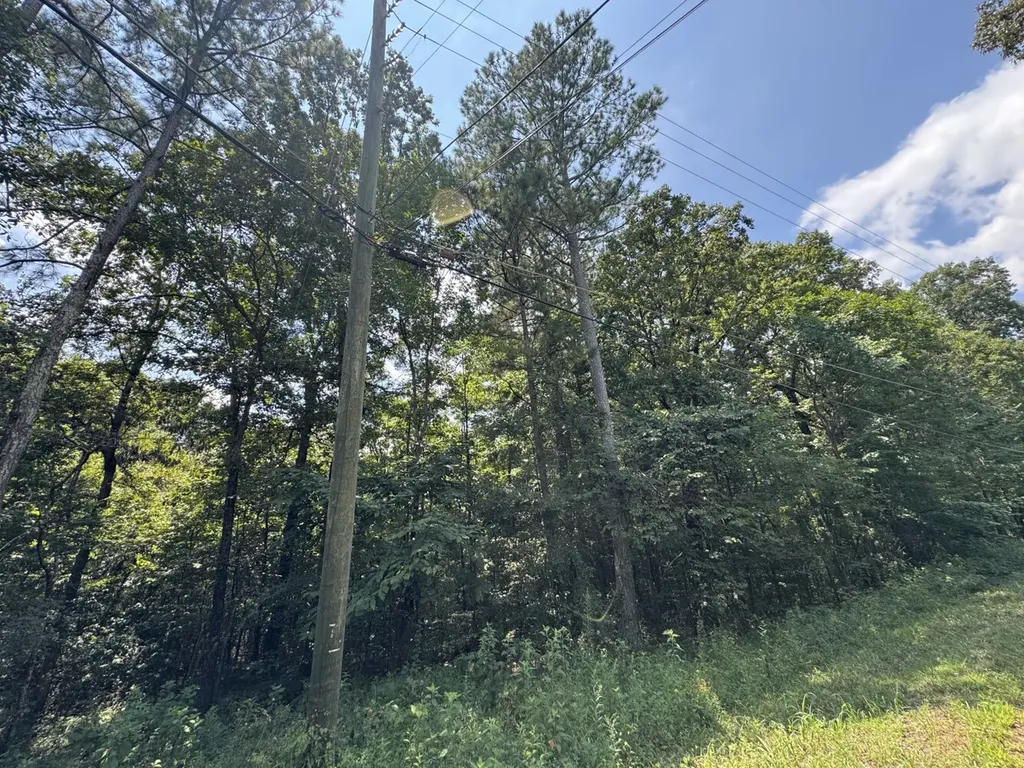 0 Mill Creek Road Warrior AL 35180