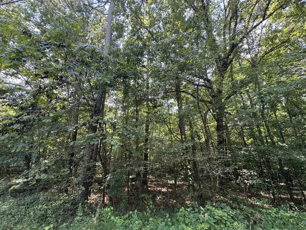 0 Mill Creek Road Warrior AL 35180