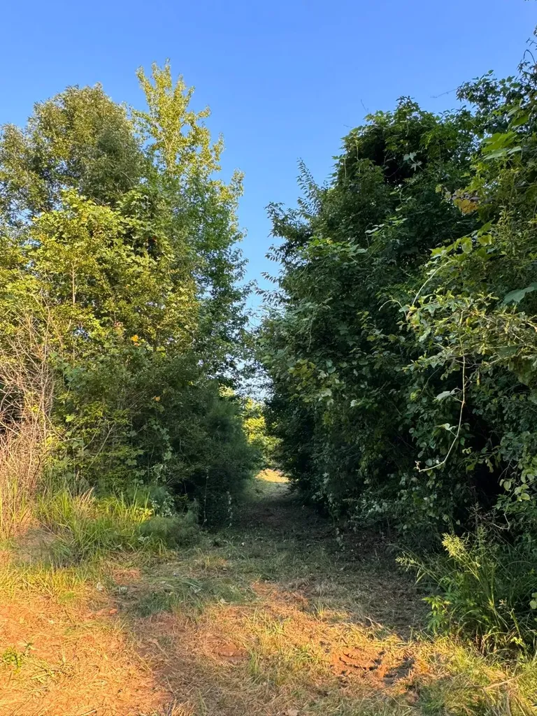 0 Al Highway 278 Guin AL 35563