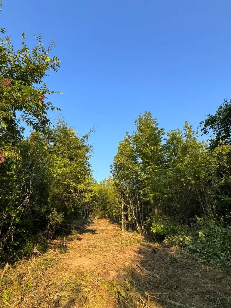 0 Al Highway 278 Guin AL 35563