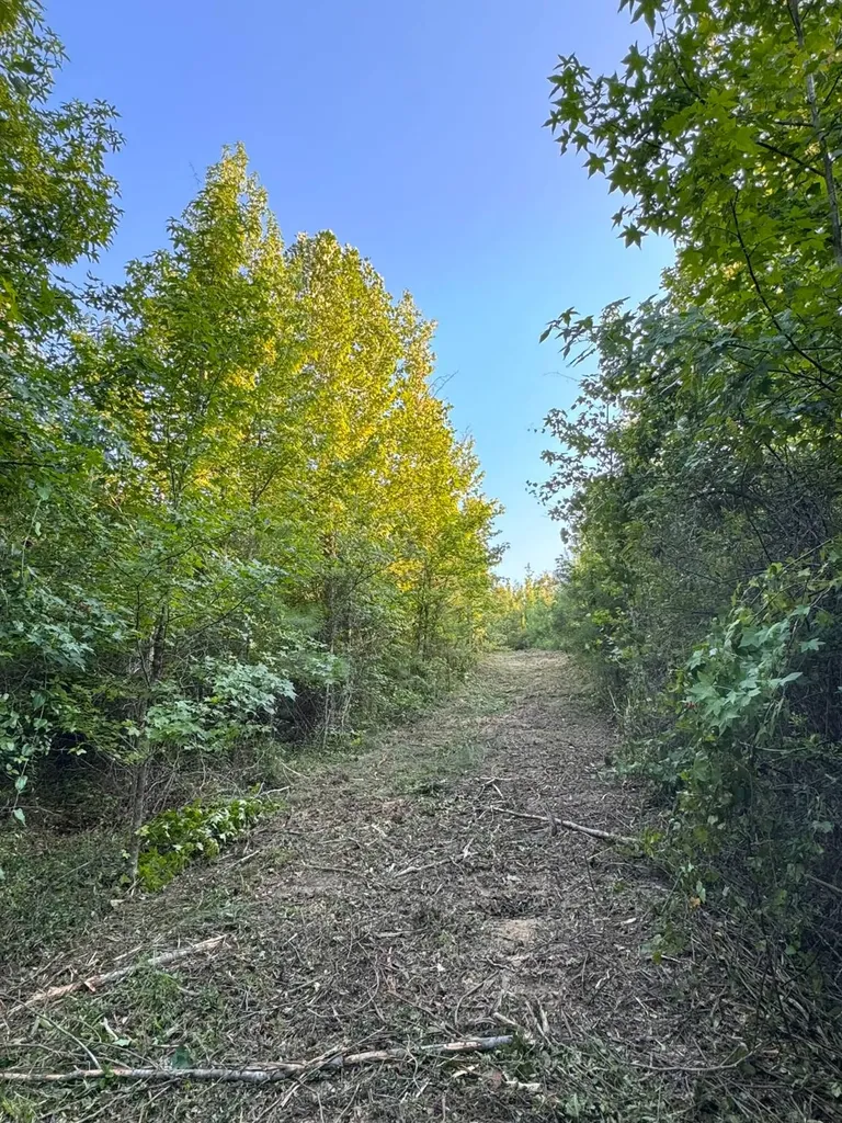 0 Al Highway 278 Guin AL 35563