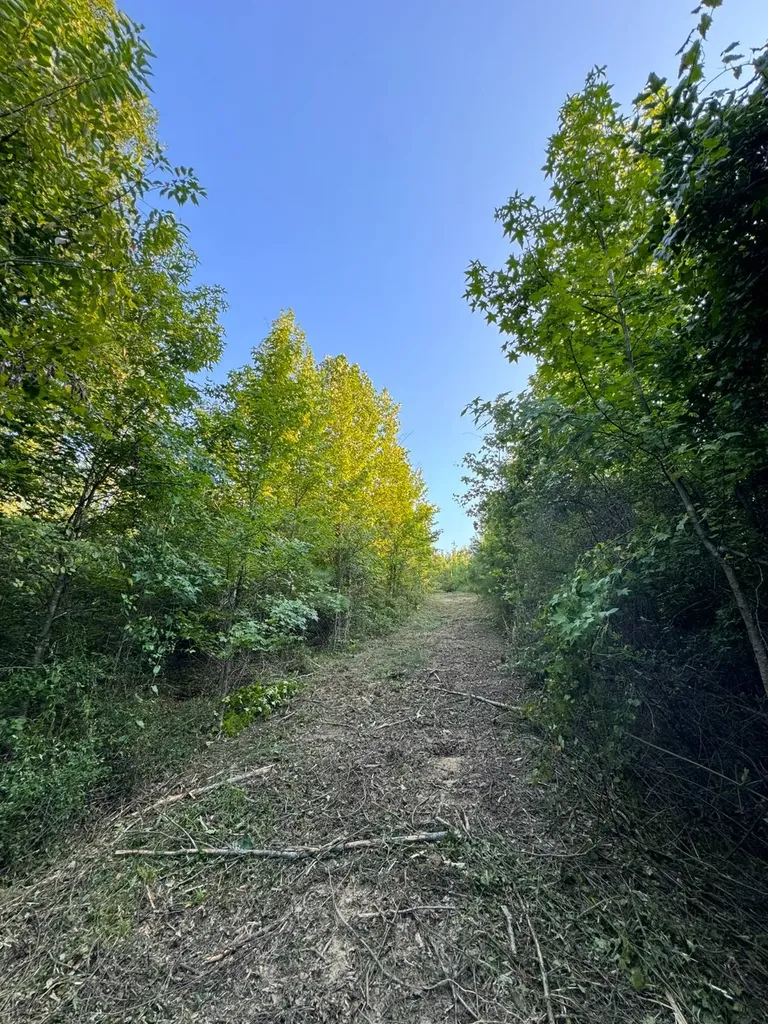 0 Al Highway 278 Guin AL 35563