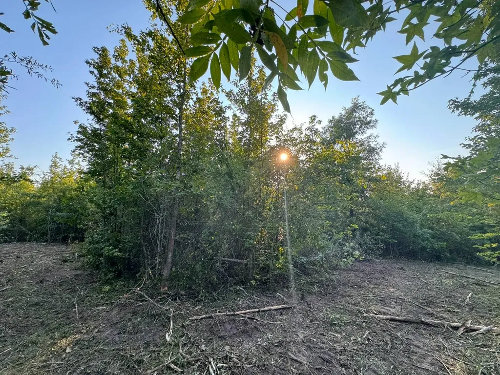 0 Al Highway 278 Guin AL 35563